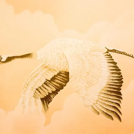 公寓 Kinski 索波特